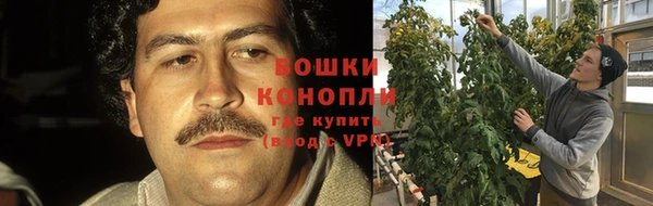 каннабис Арсеньев