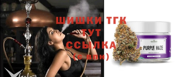 твердый Богданович