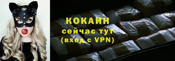 твердый Богданович