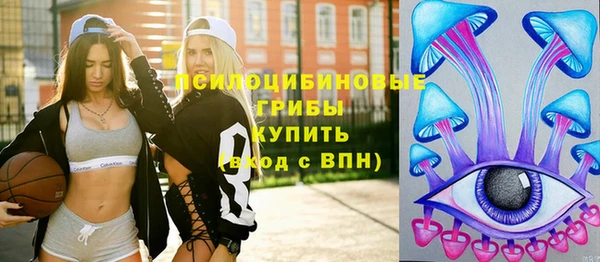 мдпв Богородск
