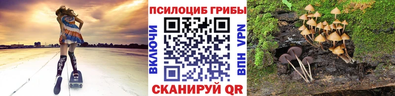 Псилоцибиновые грибы Cubensis Колпашево